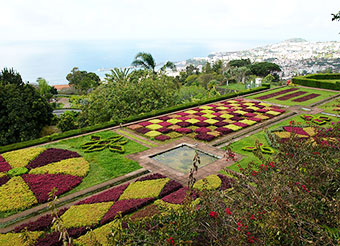 Il Giardino Botanico foto di H. Grobe