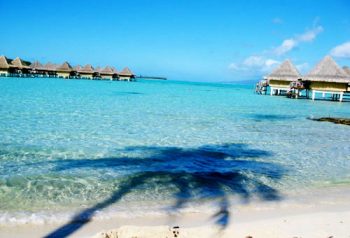 Micronesia micronesia-Palau-tuffarsi-nella-barriera-corallina
