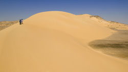 armata Dune nel deserto. © Rieger Bertrand