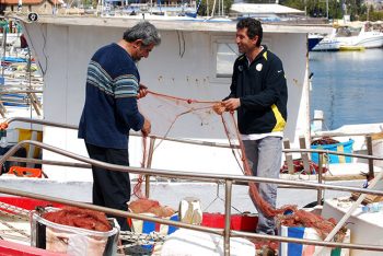 Cipro Pescatori-rientrati in porto sistemano le reti