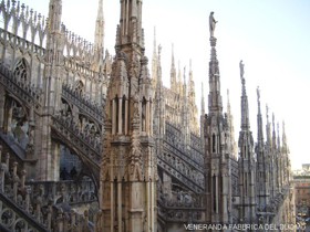 Le guglie del Duomo di Milano. Foto: Veneranda Fabbrica del Duomo