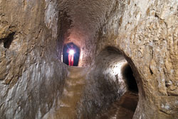 Siena, il bottino di Fonte Gaia