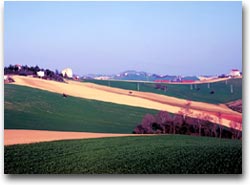 La campagna marchigiana nella provincia di Ancona (Enit, Vito Arcomano)