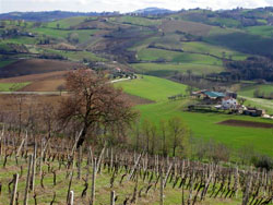 Colli di Servigliano