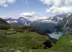 Codelago parco Devero Veglia (Foto Giancarlo Martini)