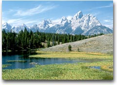 Grand Teton