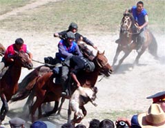 Il gioco del polo con la capra