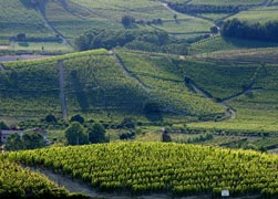 Le Langhe del Barolo