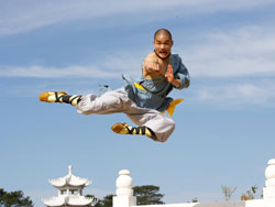 Un monaco pratica il kung-fu