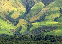 Camerun I pendii del Monte Camerun (Foto:Gary Cook/Alamy)