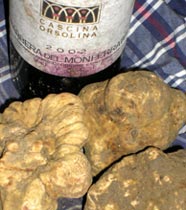 Tartufo bianco