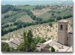 Montefalco vista dalla torre del Comune