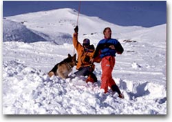 Parco dello Stelvio, addestramento cani da valanga