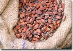 Principe Cacao