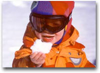 Nella Valle dei Walser