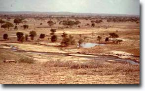 Acqua verde per le zone aride del Kenya