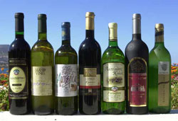 Gli ottimi vini ciprioti