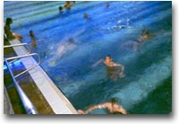 La piscina sportiva di Wasserwelt