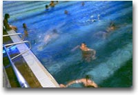 Giochi d’acqua e di neve nelle Alpi austriache 1 La piscina sportiva di Wasserwelt