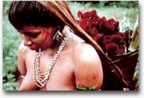 Yanomami Una donna trasporta le bacche rosse urucum per la pittura sul corpo