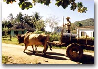 Agriturismo alla cubana