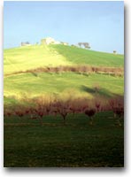 Un casolare marchigiano in cima alla collina