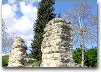 Urbs Salvia, rovine della città romana