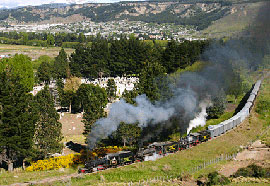 Treno 'La Tronchita'