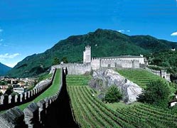 Castelli di Bellinzona Le vechie mura e i vitigni di Castelgrande (Foto: Remy Steinegger)