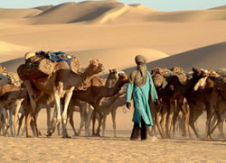 Azalai, le ultime carovane del deserto