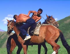 Torneo di abilità equestre