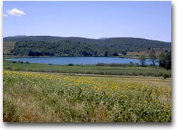 Lago dell'Accesa (Foto:Regione Toscana)