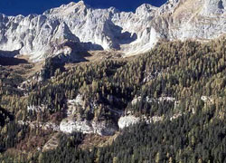 orso Il gruppo del Brenta (Foto: Turismo Trentino)