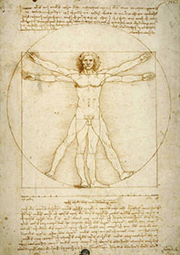 Leonardo Da Vinci, Uomo Vitruviano, Gallerie Accademia Venezia