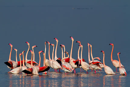 Nel Parco del Delta del Po per vivere la Primavera