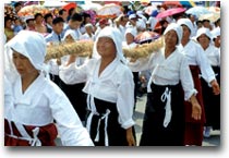 Kumsan Ginseng Festival