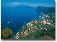 Isola di Capri (Foto:Archivio Acst)