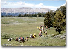 Passeggiata a cavallo nella Jackson Hole