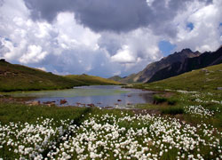 Laghetto al Passo San Giacomo (Foto Giancarlo Martini)