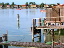 Prosegue, e ahimè finisce, il viaggio nella mia Koinè emiliano-romagnola 15 Po, Sacca Scardovari