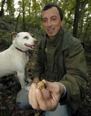 A scuola di caccia al tartufo