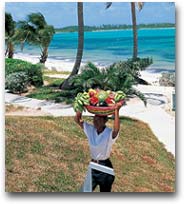 Santo Domingo Dominicano con un cesto di frutta