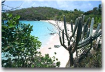Isole Vergini danesi (Las Islas Virgenes) in salsa americana