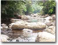 Taman Negara, magico mondo verde