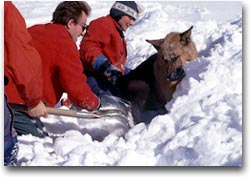 Esercitazioni in alta quota