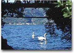 Garda, la piccola isola del grande lago