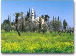 Archeologia a Cipro La moschea di Hala Sultan
