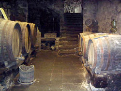 Museo della Vite e del Vino
