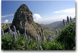 La Gomera Parco Roque de Agando