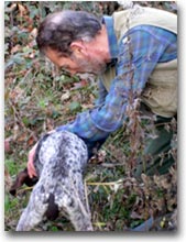 Andare per tartufi. Con i cani
